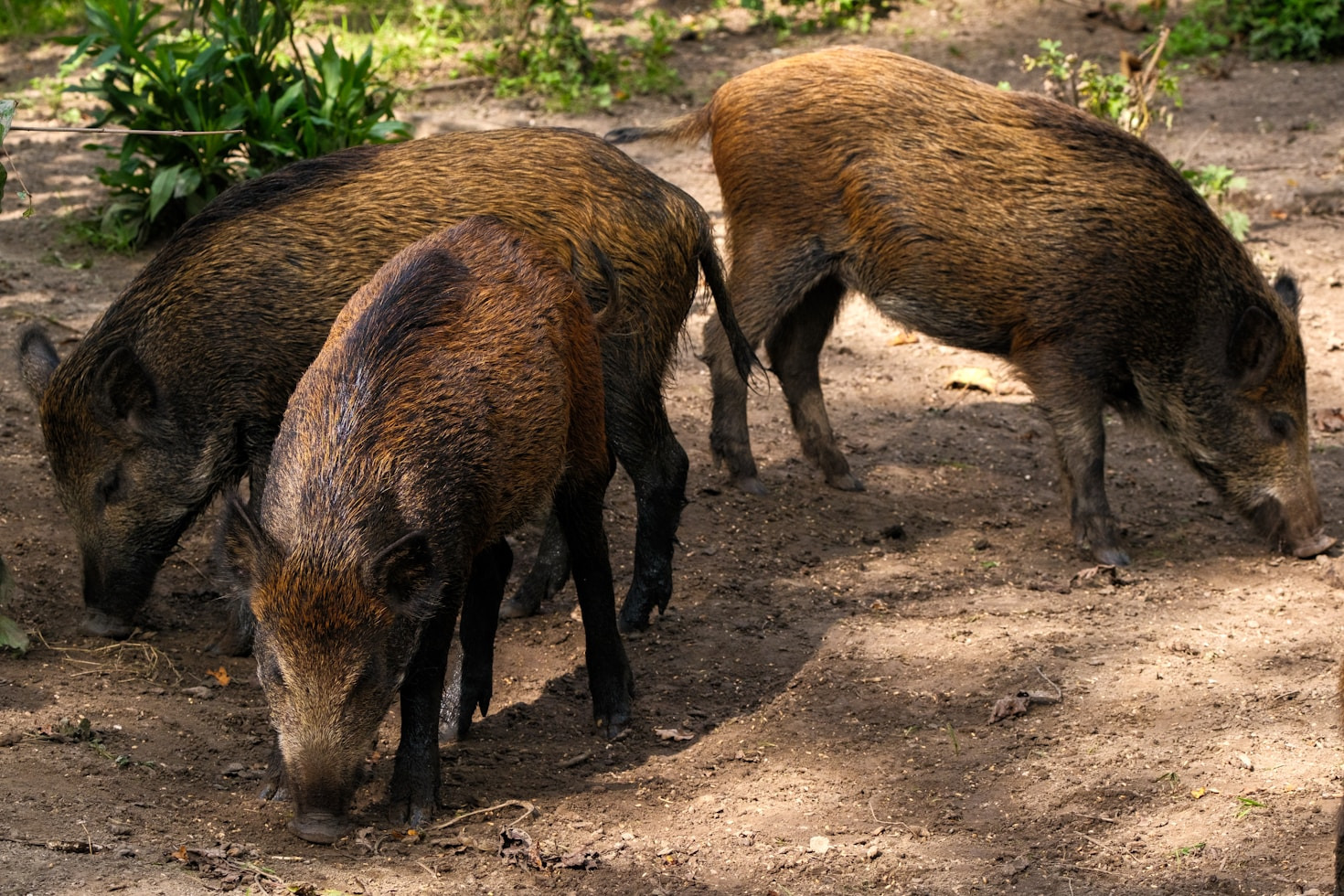 Die Kooperationspartner des Vereins und ihre Bedeutung